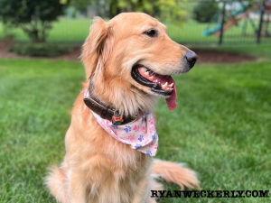 Where Do You Find Your Inspiration for Ideas?